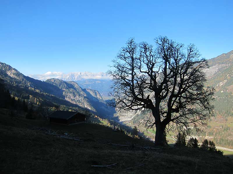 Bernkogel